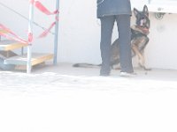 DSC 4663