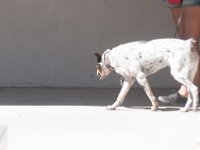 DSC 4666