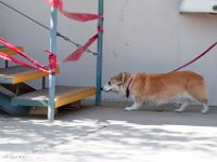 DSC 4669