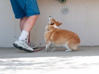 DSC 4671