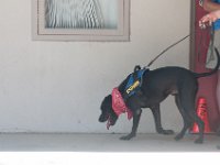 DSC 4675