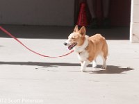 DSC 4690
