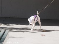DSC 4700