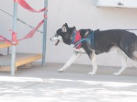DSC 4708