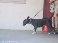 DSC 5028