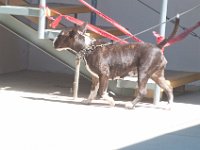 DSC 5030