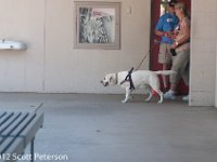 DSC 5037