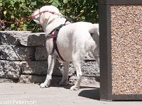 DSC 5043