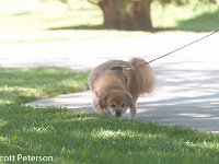 DSC 5063