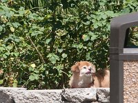 DSC 5065