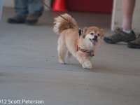 DSC 5069