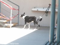 DSC 5076