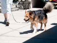 DSC 5084