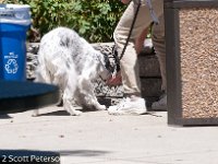 DSC 5099