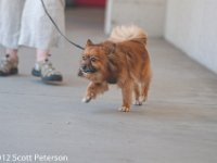 DSC 5109