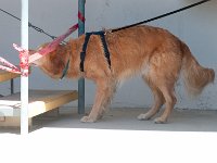 DSC 5118