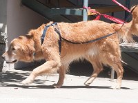 DSC 5119