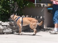 DSC 5127