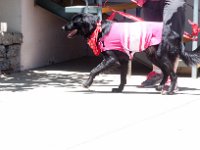 DSC 5148