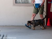 DSC 5149