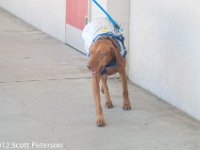 DSC 5168