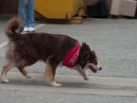 DSC 3490 1