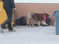 DSC 3527