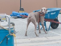 DSC 3531