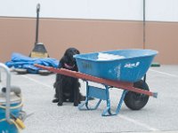 DSC 4409