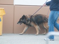 DSC 4419