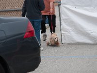 DSC 4455