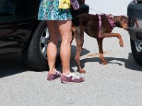 DSC 3608