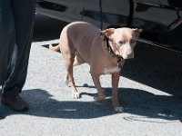 DSC 3621