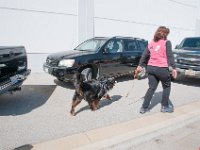 DSC 3638