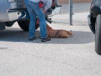 DSC 3665