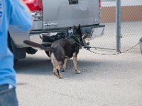 DSC 3667