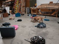 DSC 4531