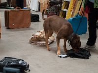 DSC 4548