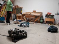 DSC 4549