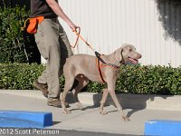 DSC 2941