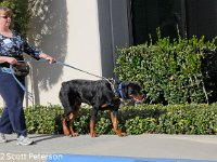 DSC 2943