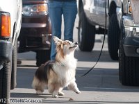 DSC 4070
