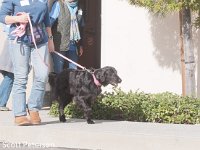 DSC 4075