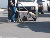 DSC 4088