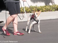 DSC 4091