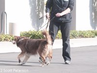 DSC 4123