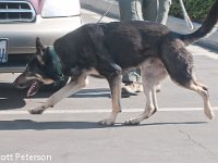 DSC 4149