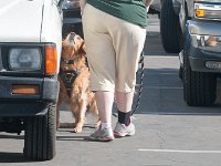 DSC 4152