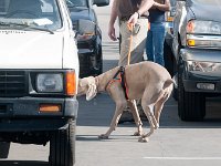 DSC 4170