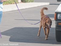 DSC 4185